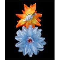 We Sell Fashion 12 Assorted Color Hair Clips  - Bright Colorful Flower Women's Hair Accessories